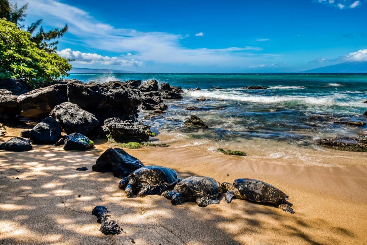 Mahina Surf I Villa Napili-Honokowai Szoba fotó